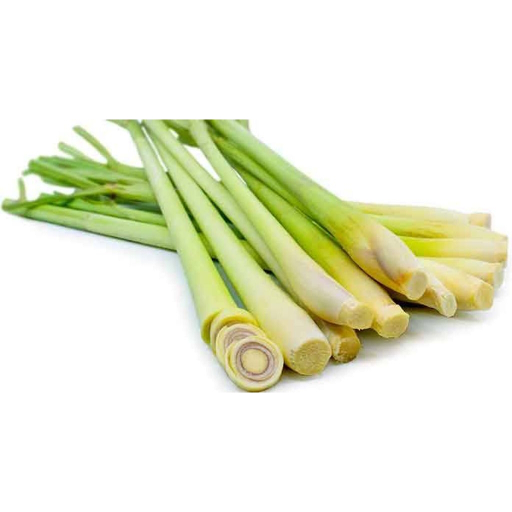 

SEREH SEGAR KEMASAN 250g