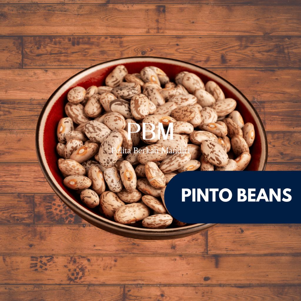 

Pinto Beans 1kg / Kacang Pinto 1kg