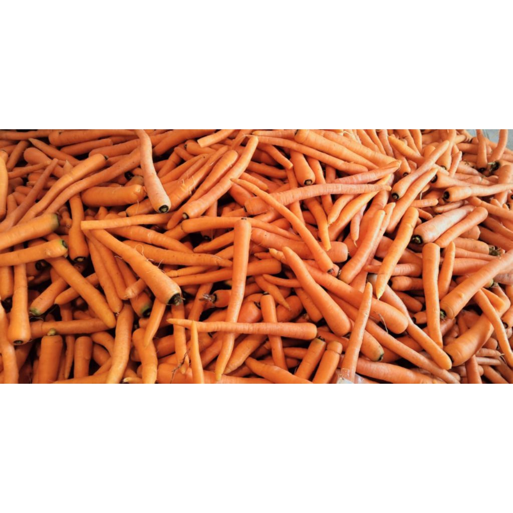 

Wortel Lokal Segar 1kg / Sayuran Fresh