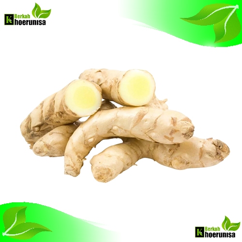 

Temu/Kunyit putih Segar 1 kg rempah dan herbal