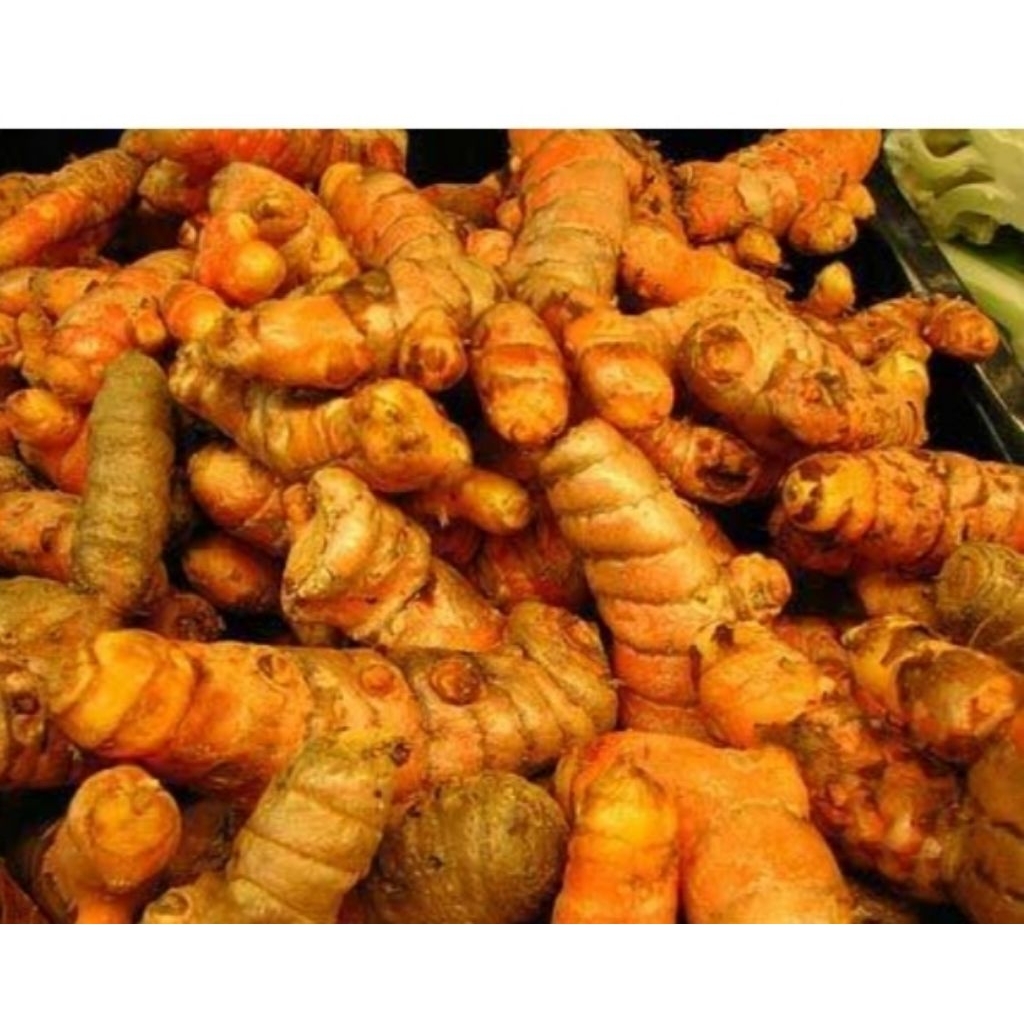 

kunyit segar organik bumbu dapur bahan masakan obat herbal pewarna alami rempah