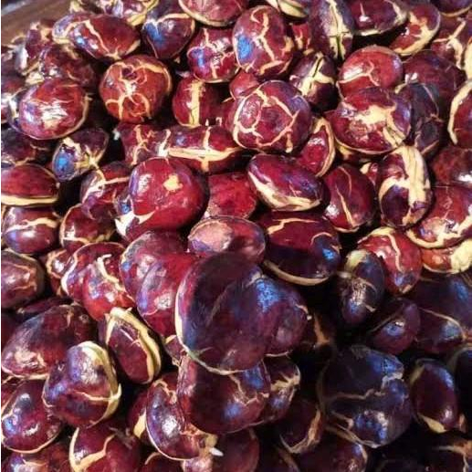 

Jengkol Tua Spek AB Kemasan 1/2kg,1kg