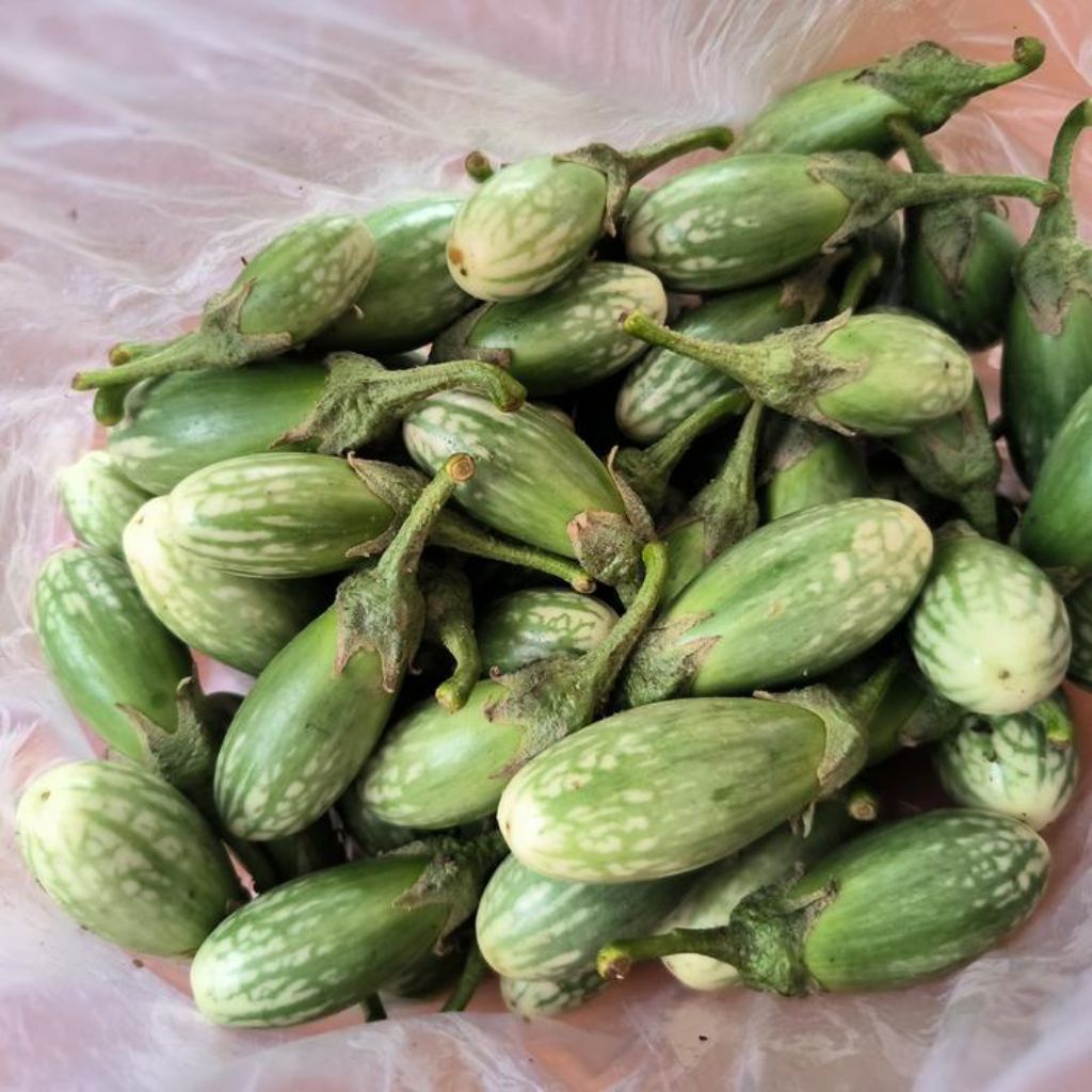 

Terong Hijau 250 gr / Terong Lonjong Kecil (Sayuran Segar)