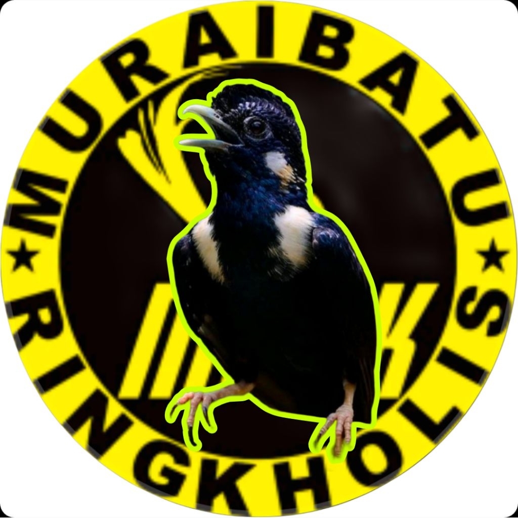 

telur fertil burung Raja Perling jaminan menetas