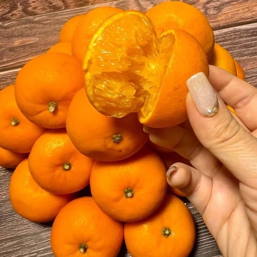 

BUAH JERUK HONEY MURCOT LEFT 1kg