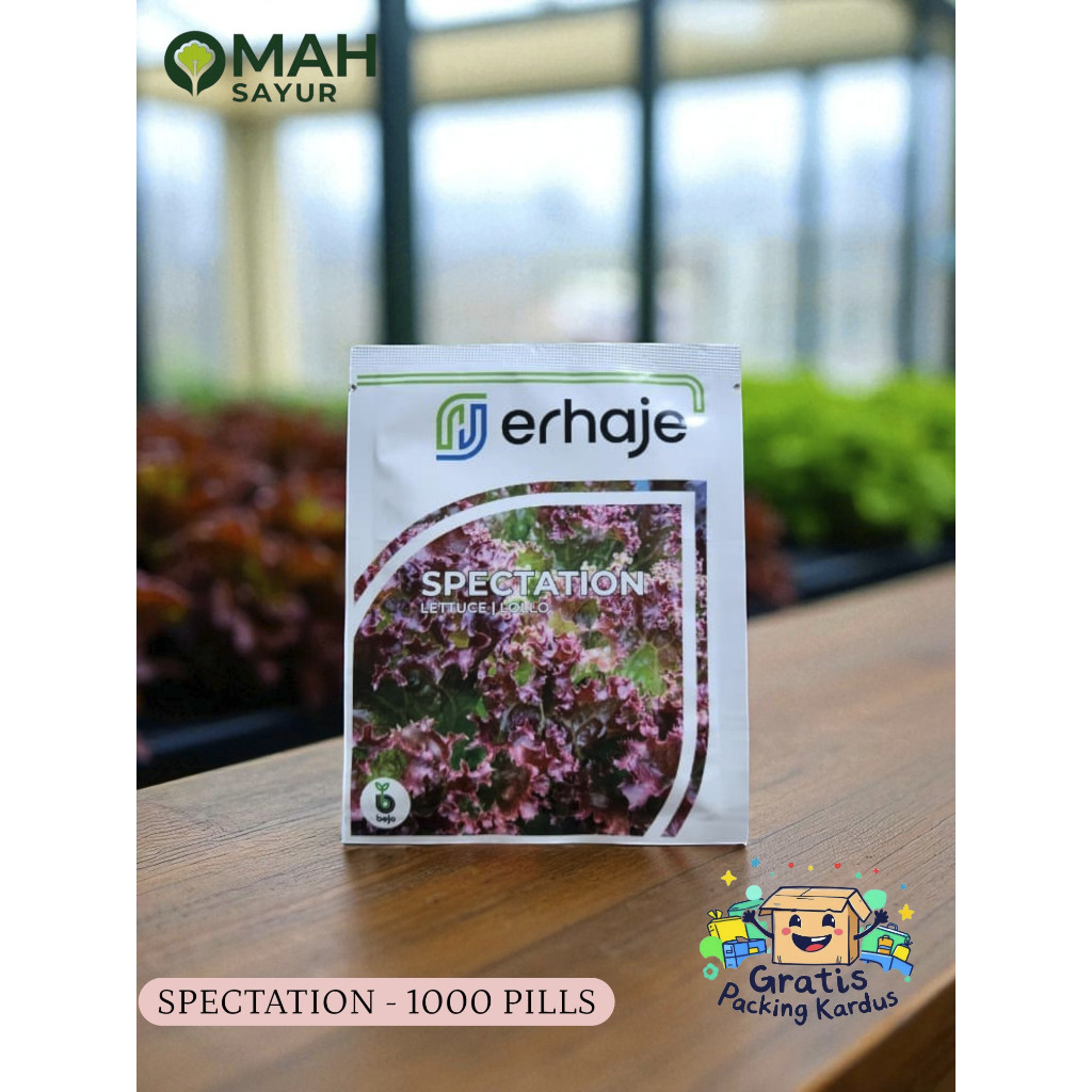 [1000 Pills] Benih Selada Merah Bejo SPECTATION Red Lettuce Red Lollo By Bejo Seeds