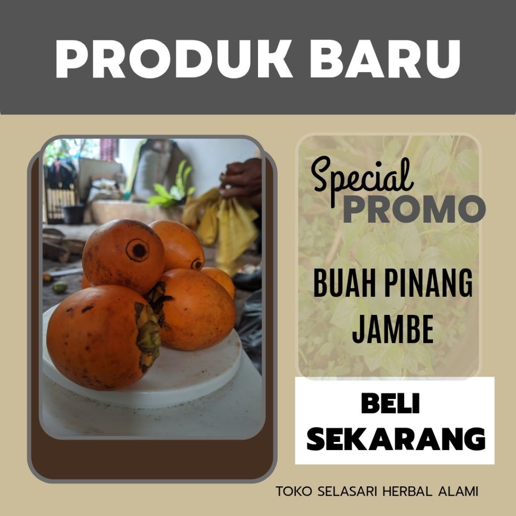 

buah pinang tua/ jambe per 1 kg