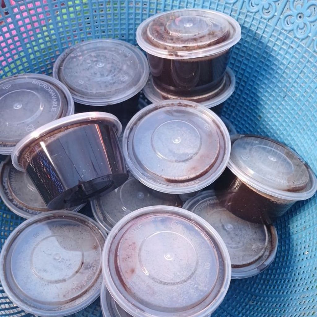 

rendang karambia/kelapa sangrai