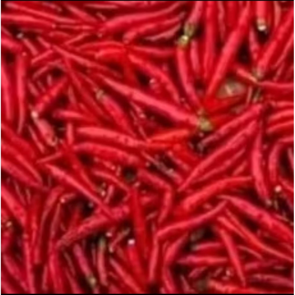 

Keriting Merah Petik 250 gram