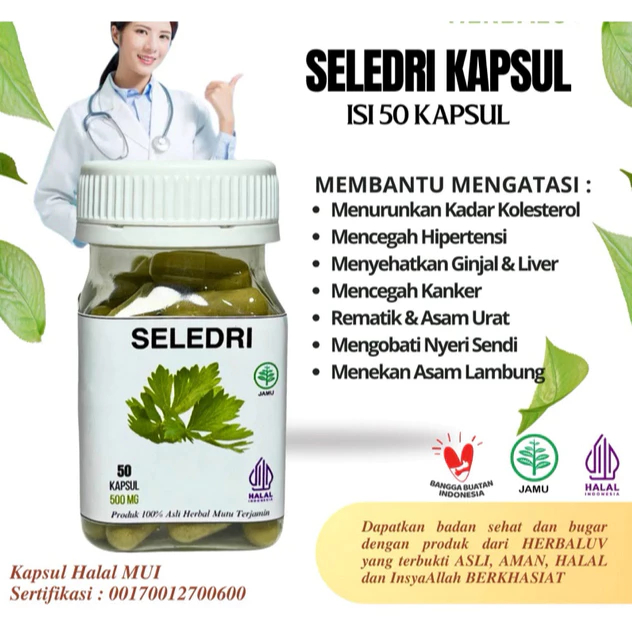 Kapsul Seledri Original Herbal