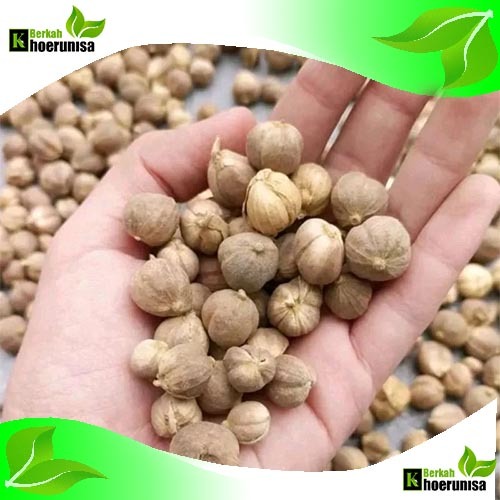 

Kapulaga kering 1 kg Premium rempah dan herbal