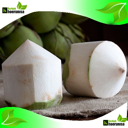 

Buah Kelapa Muda Kupas degan Segar per butir