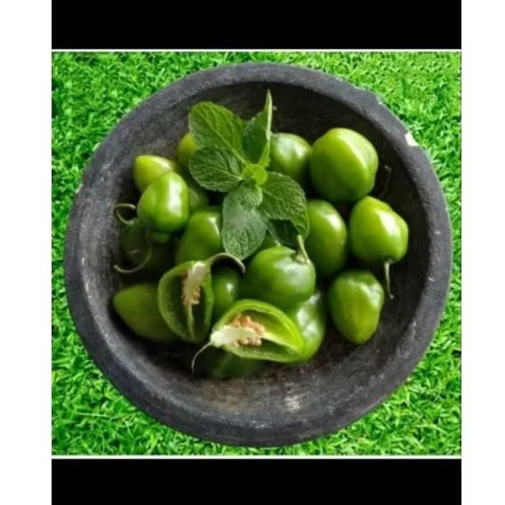 

CABAI GENDOT 250gr BANDUNG VIRAL TH SANTY ASLI BANDUNG SEGAR