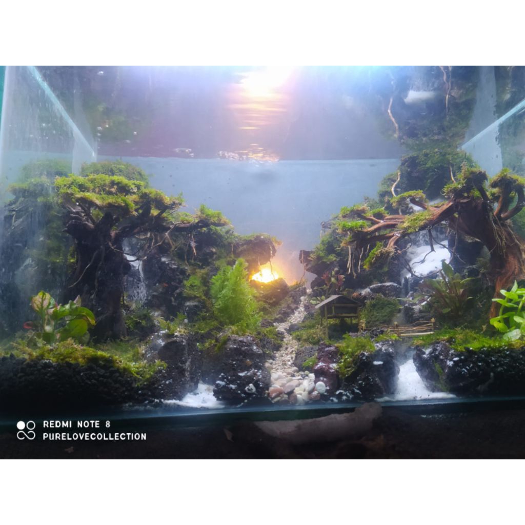 Aquarium/ aquascape fullset60x40x40