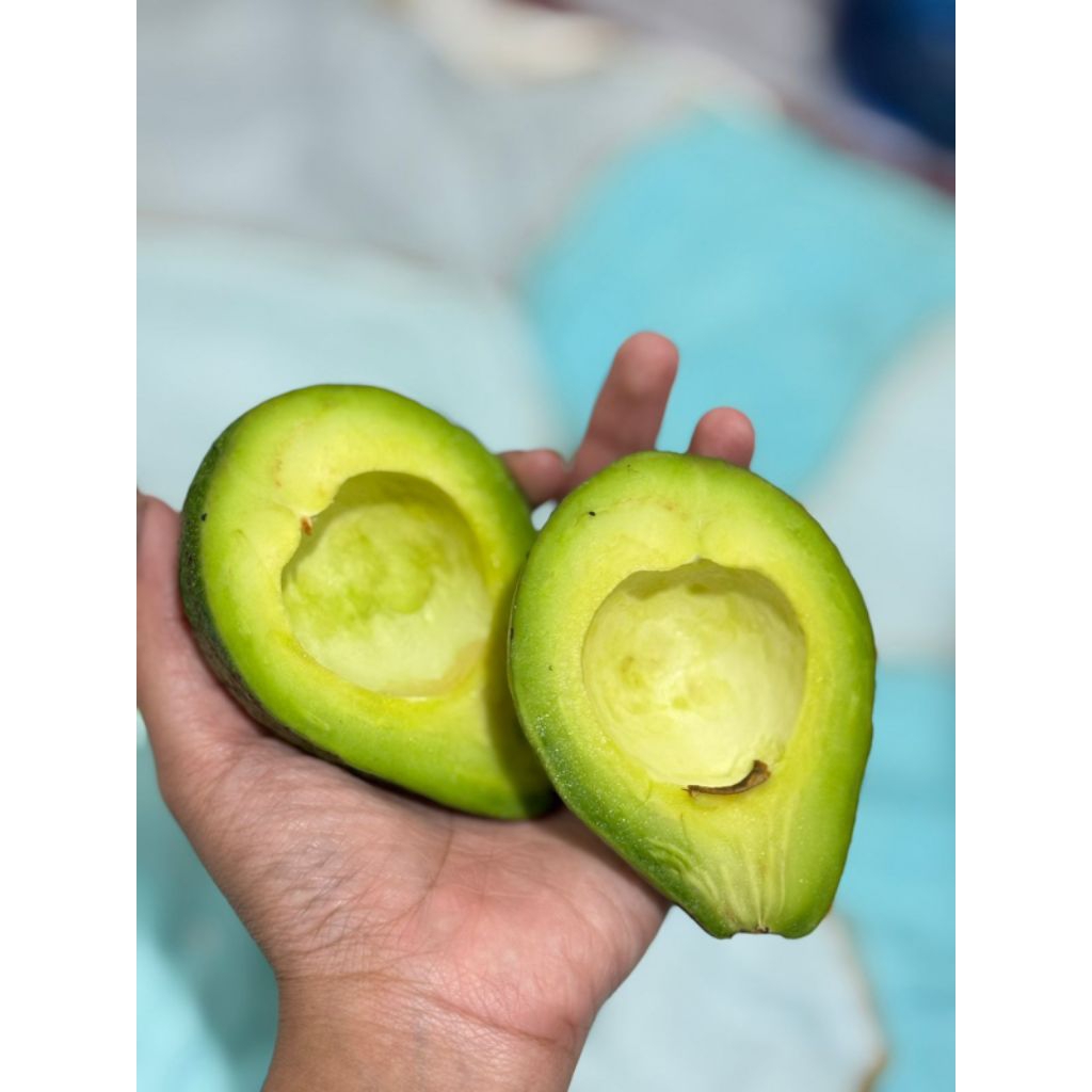 

alpukat mentega (2buah mini) aja paket murah