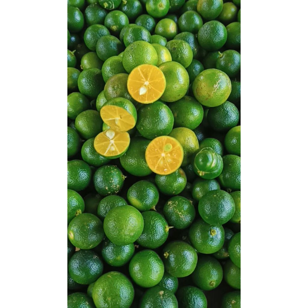 

5KG JERUK SONKIT KASTURI SEGAR&PRESH