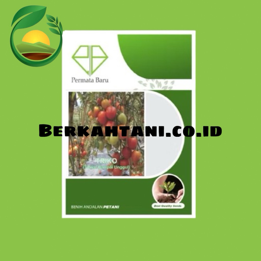 Benih Tomat Rampai Triko Isi 5 Gram Bibit Permata Baru
