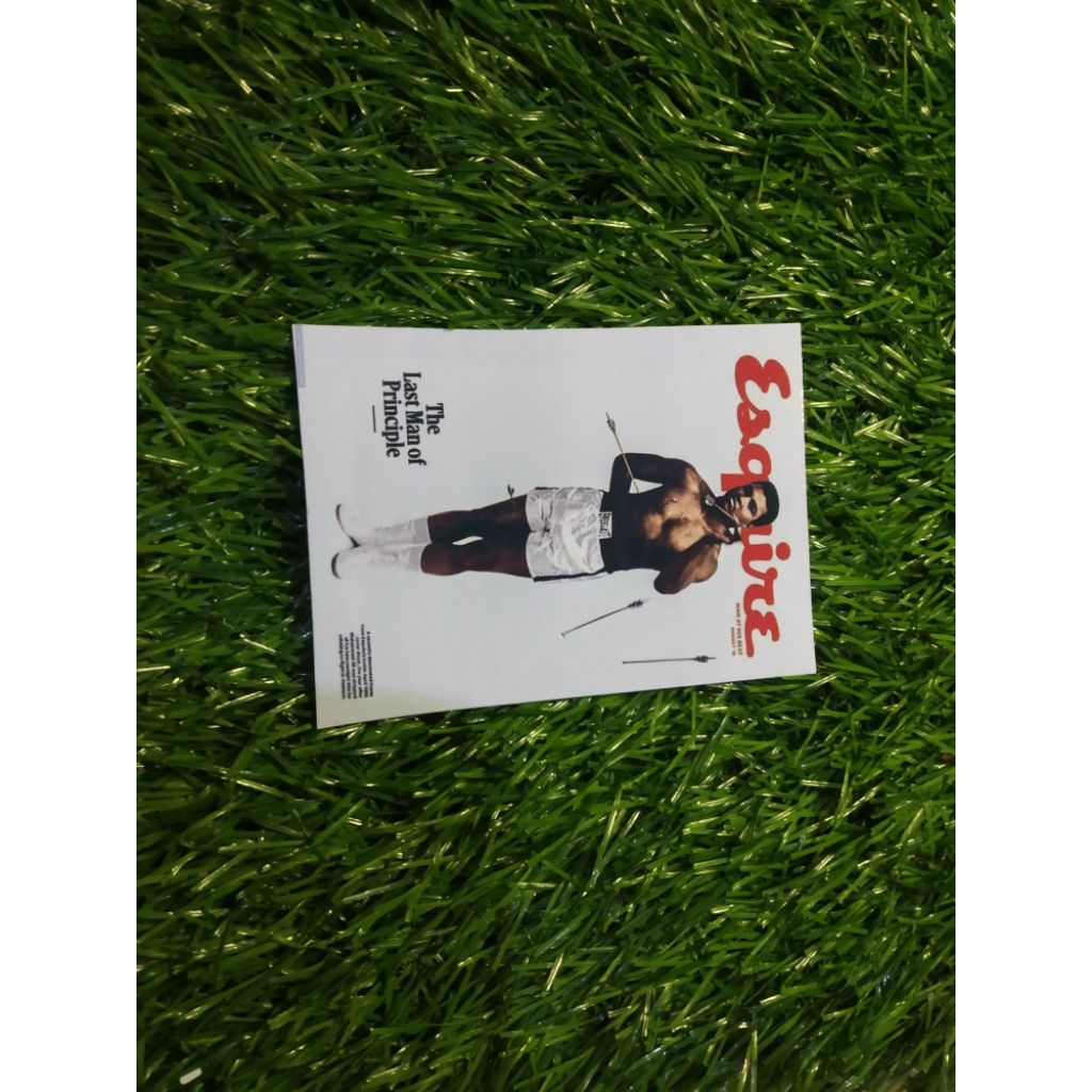 

stiker vinyl esquire