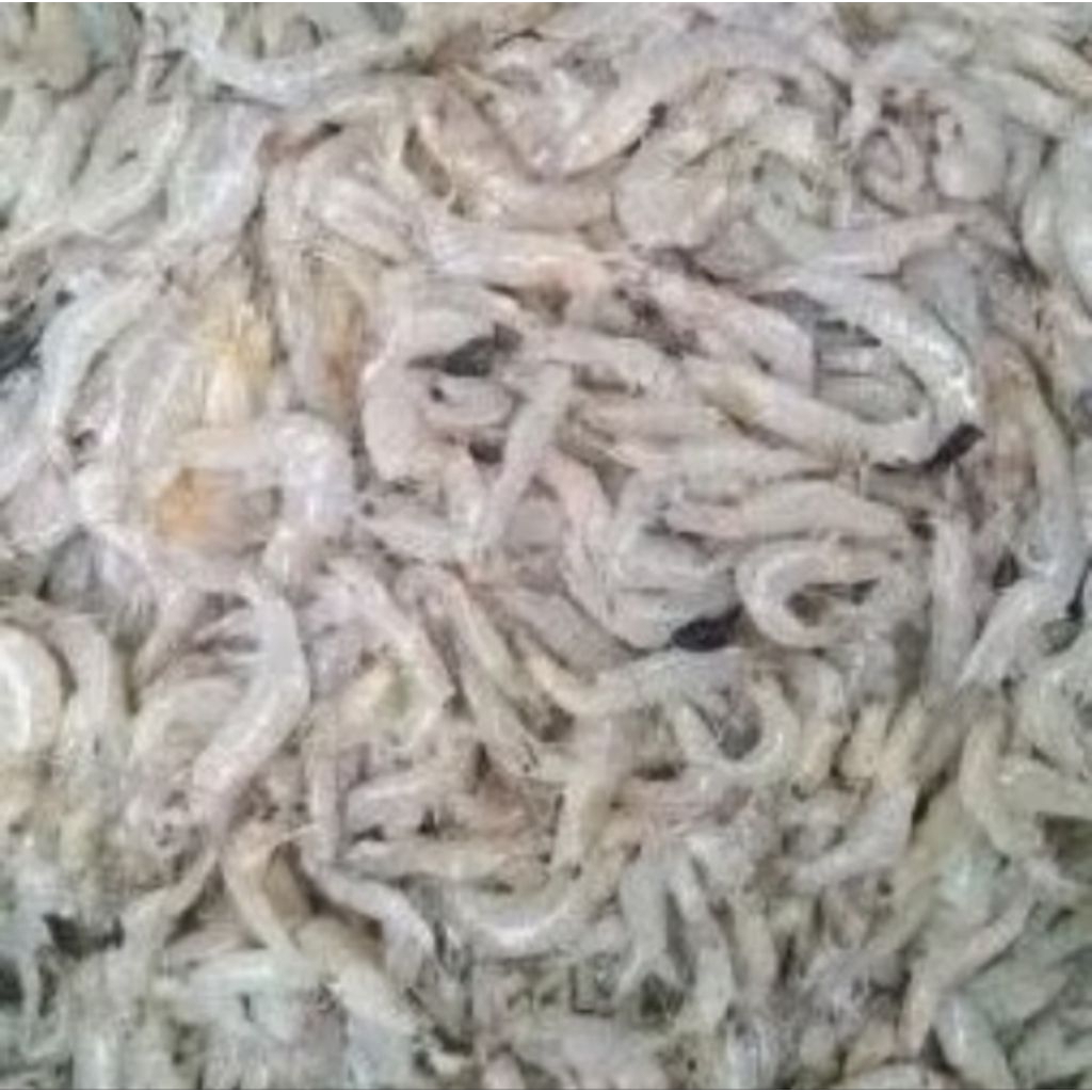 

Udang Kecil Fresh Bandung