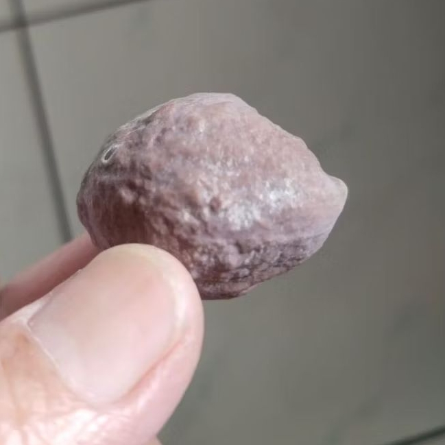 Kemiri Adu Muncang Adu Yanti Dahdir Ori Full Tua