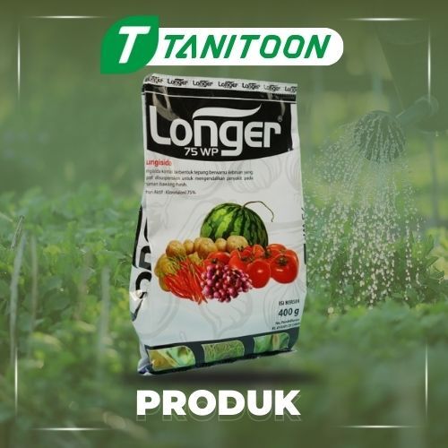 LONGER 75WP 400GR FUNGISIDA : KLOROTALONIL