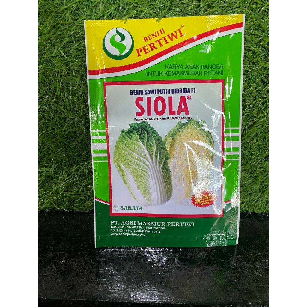 

Benih sawi putih SiOLA F1 10 gr