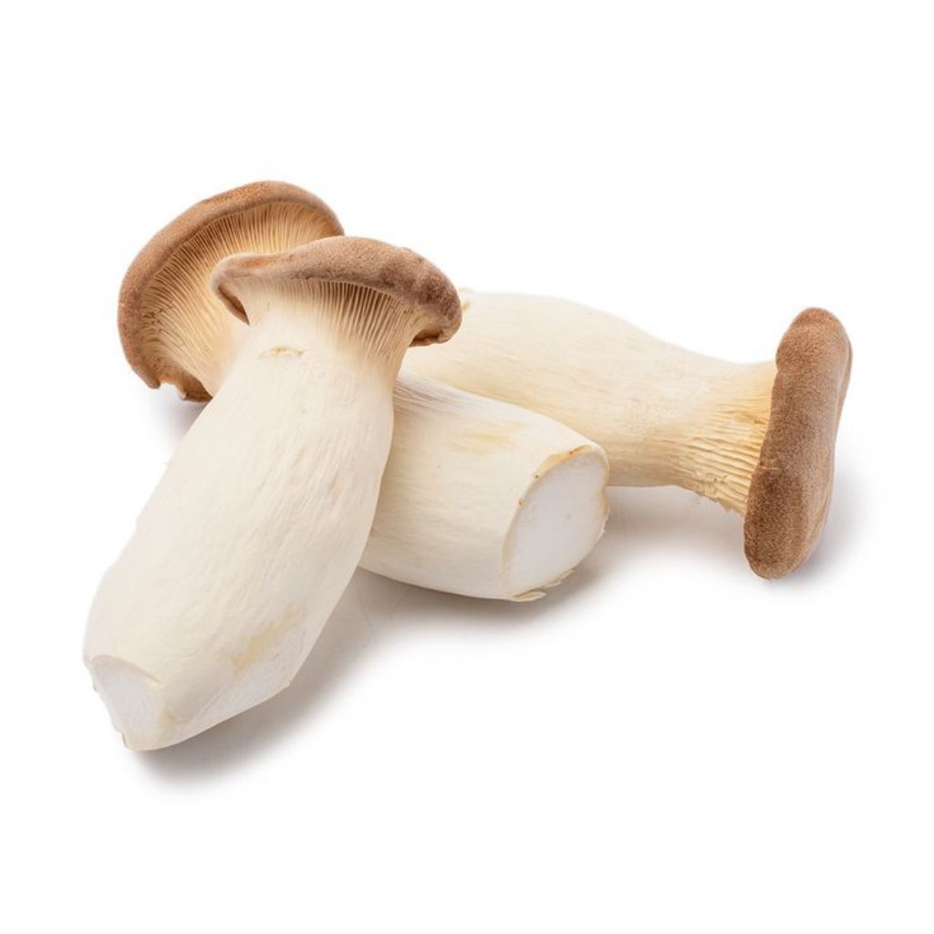 

Jamur King Oyster 200gr