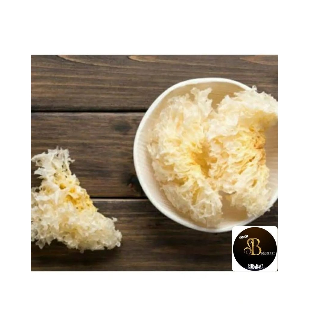 

Jamur Salju / Jamur Es