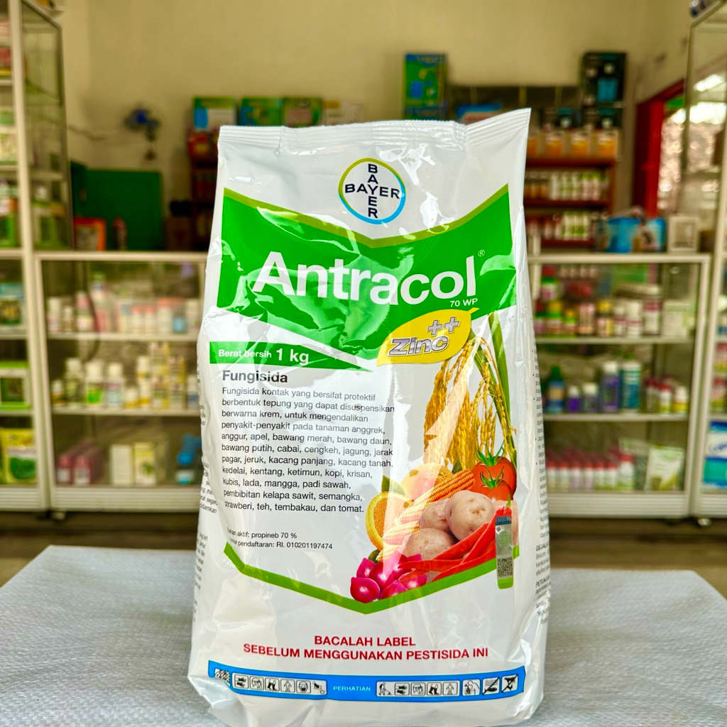 Fungisida ANTRACOL 70WP 1 kg - Fungisida + ZPT