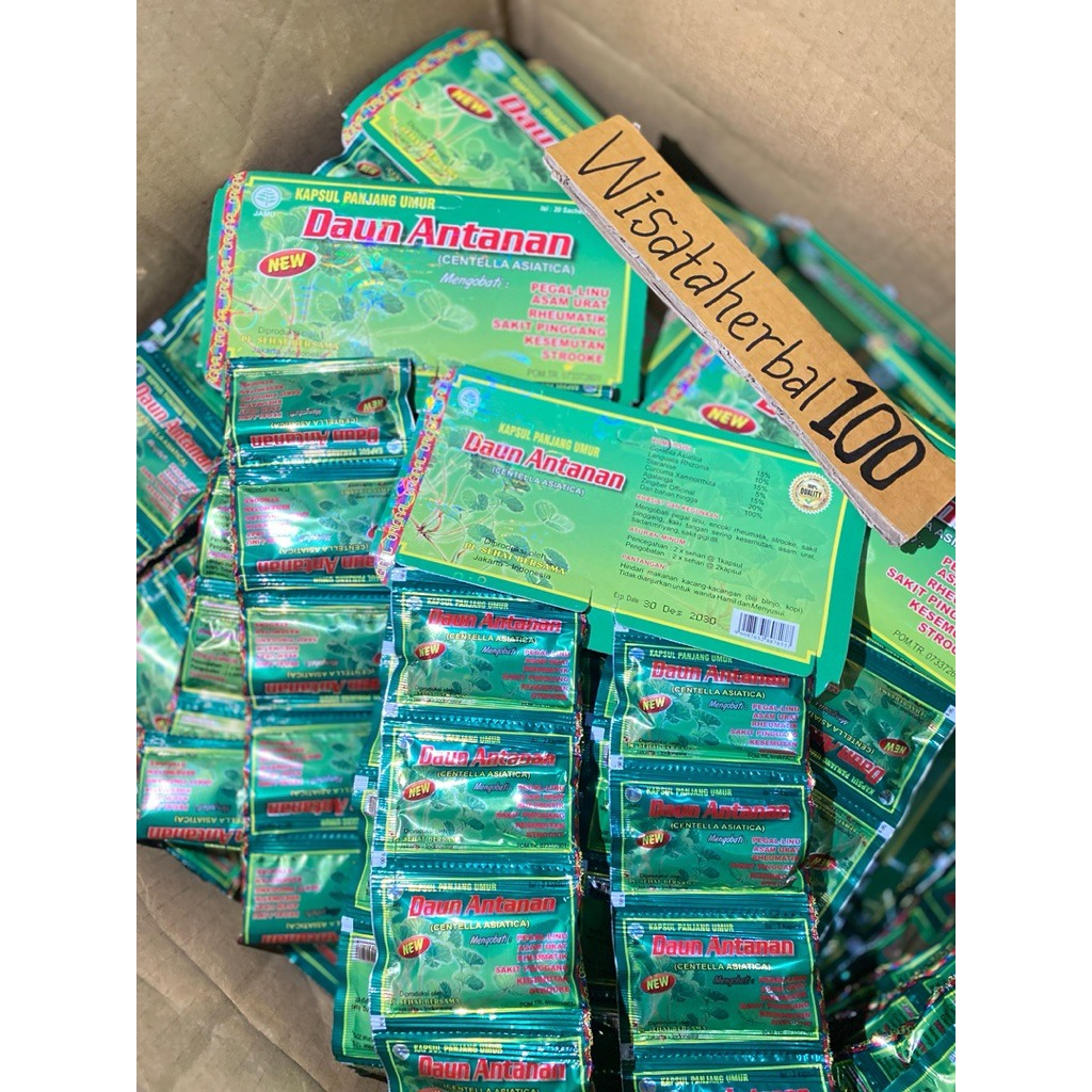 DAUN ANTANAN ORIGINAL KAPSUL