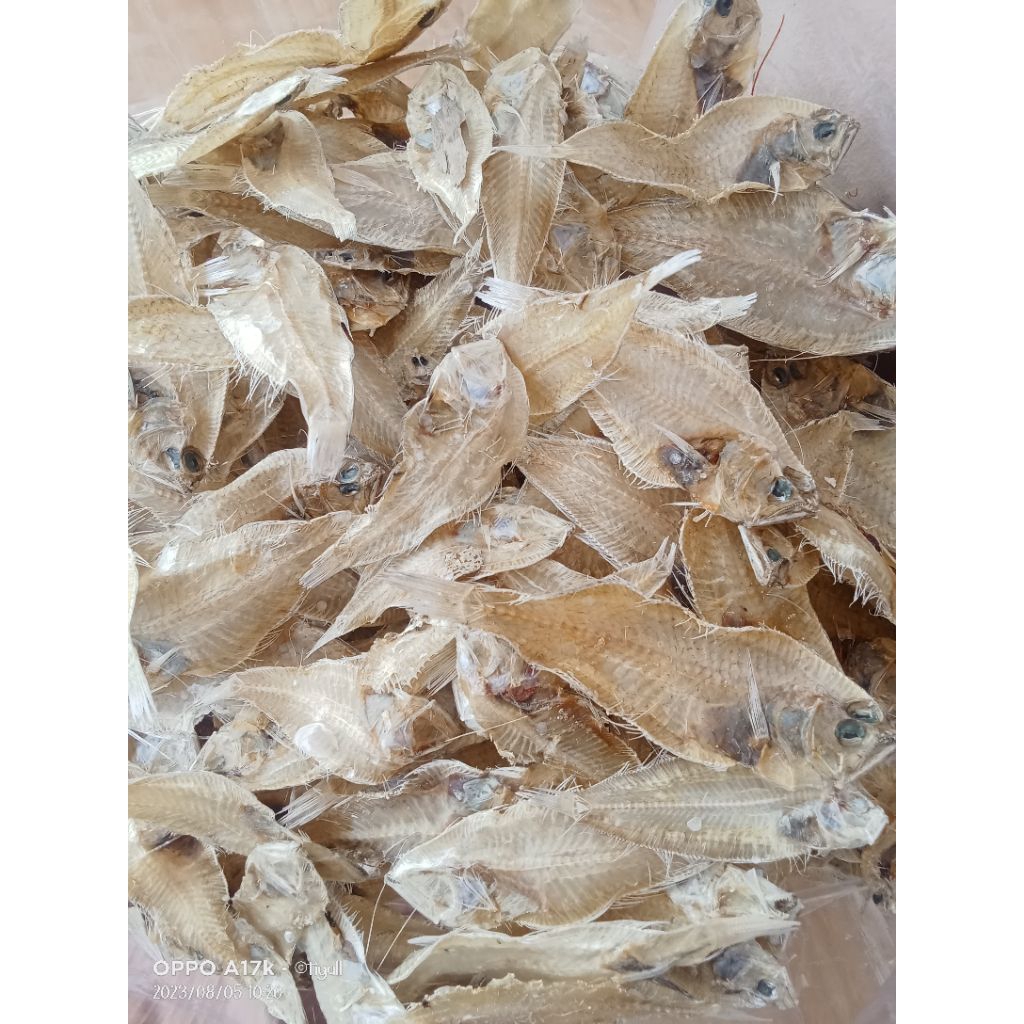 

Ikan Kering Ikan Lidah Kecil Tawar Murah Berkualitas Termurah