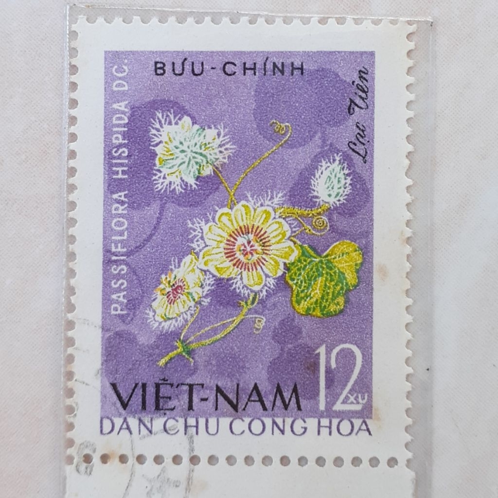 

Perangko Vietnam Four - seasons flowers (Pasion - Flower (passiflora Hispida)) Tahun 1964