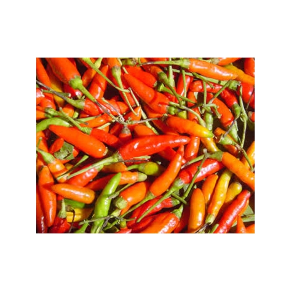 

Cabai Sret Ori Gendeng