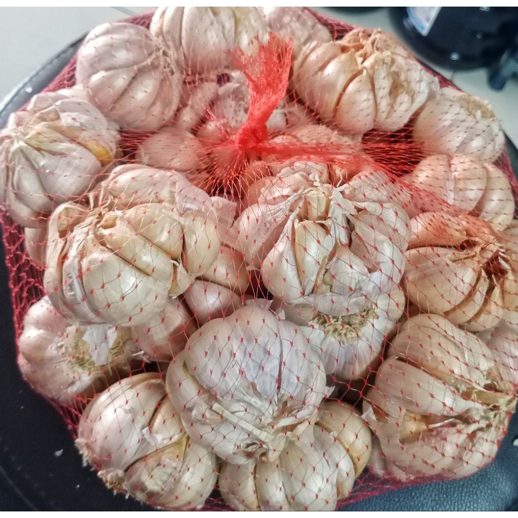 

Bawang Putih Sinco Kering Bersih Murah