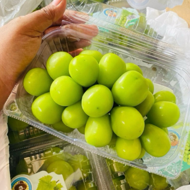 

Buah Anggur Hijau Shine Muscat China 500gr/ Anggur Shine Muscat SeedLess/Anggur Hijau Shine Muscat Tanpa Biji Manis (Melayani Via Gosend Instant)