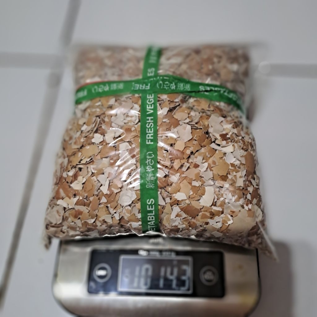 

CANGKANG TELOR MURNI TANPA CAMPUR LAINYA