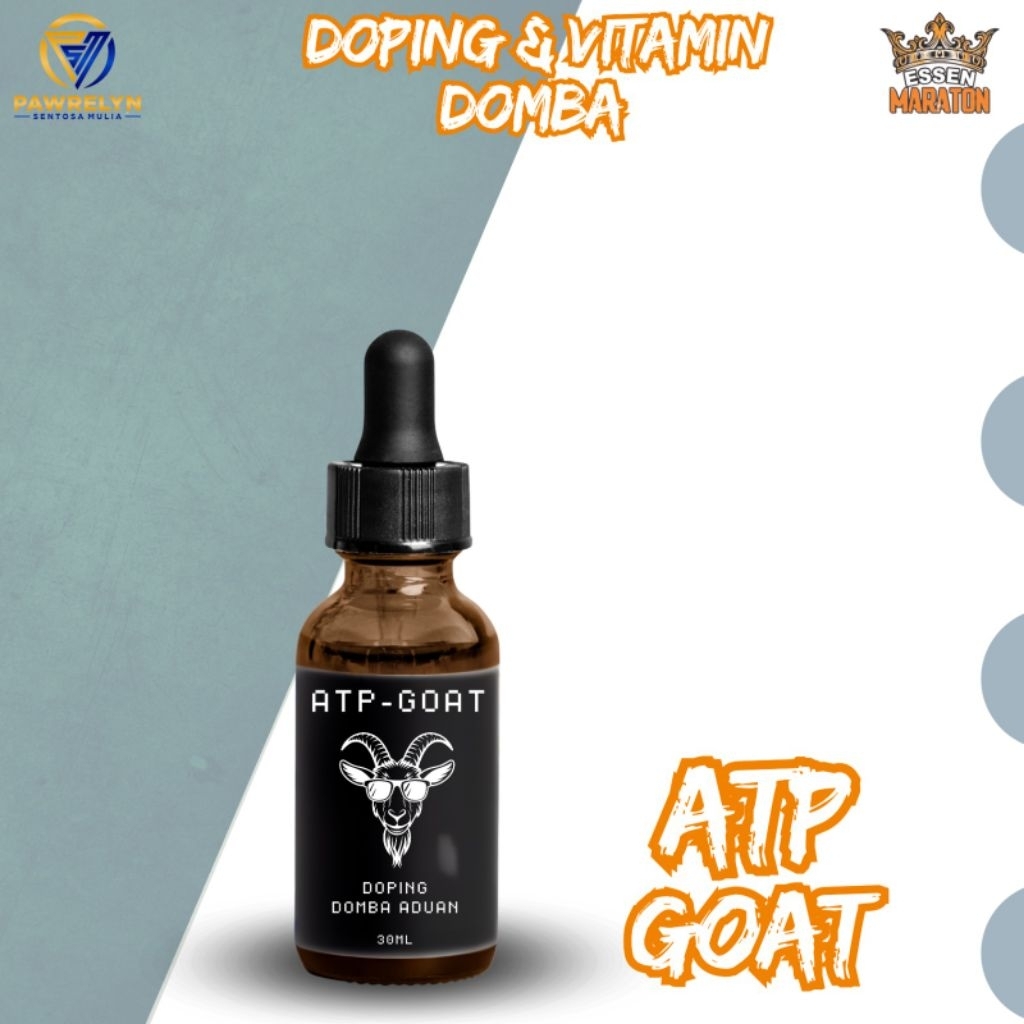 Maraton - TERLARIS - ATP Goat Obat Doping Domba Adu Domba Garut Adu Domba Stamina Tahan Sakit Nafsu 