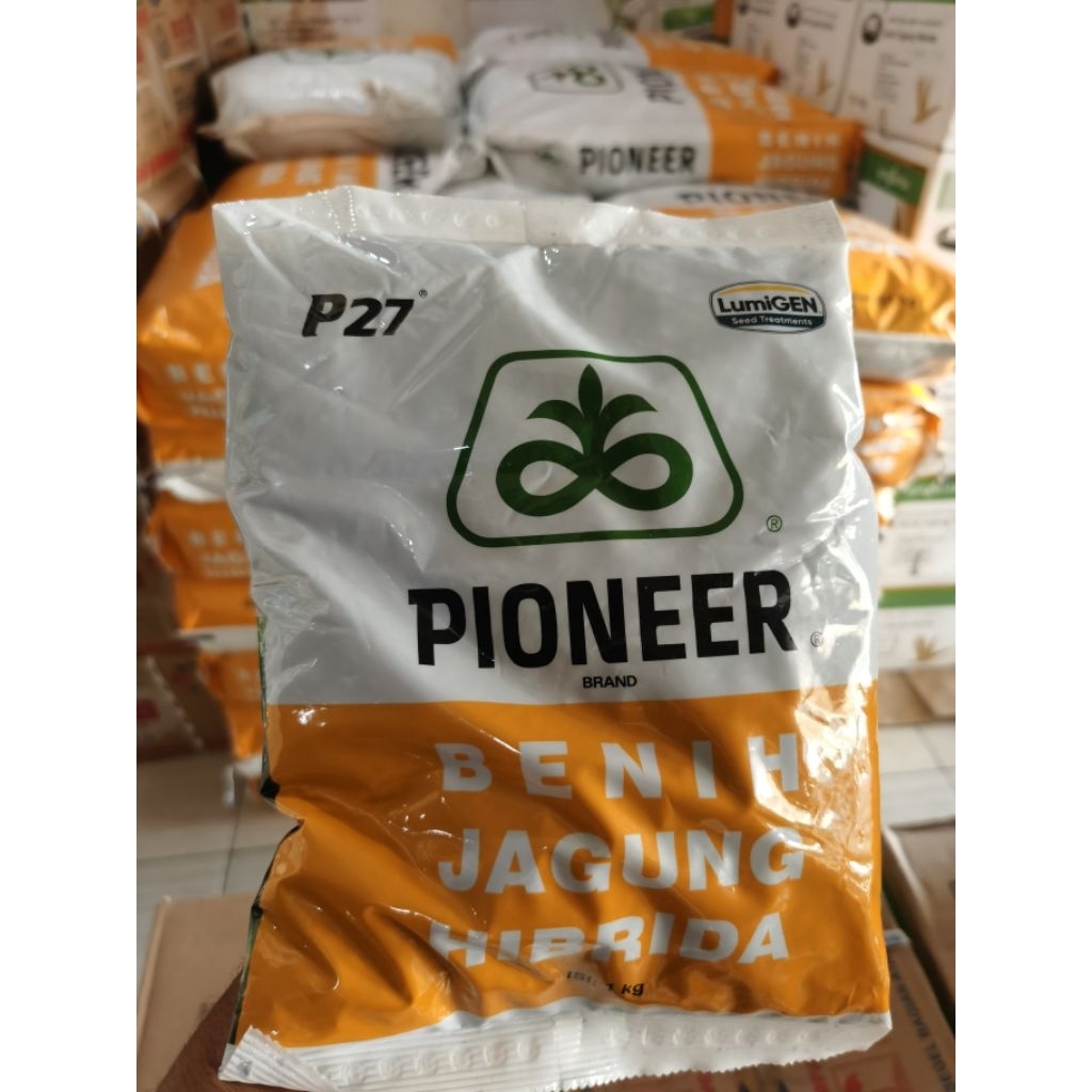 Benih Jagung Hibrida Pioneer P27 LUMIGEN 1 Kg
