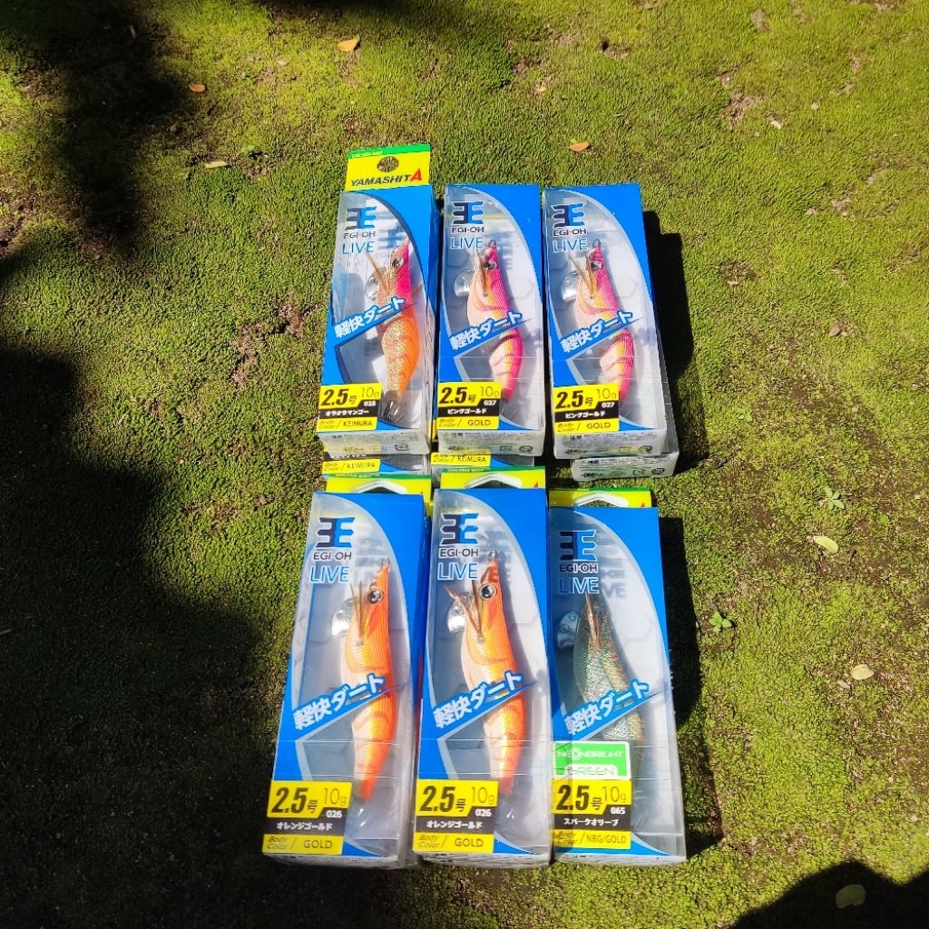 Egi Yamashita OH Live