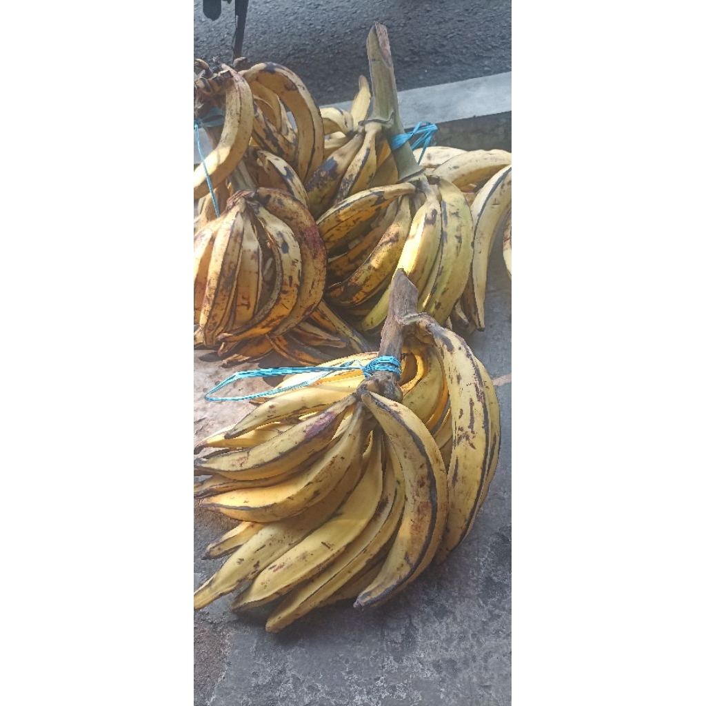 

Pisang Tanduk Sukabumi