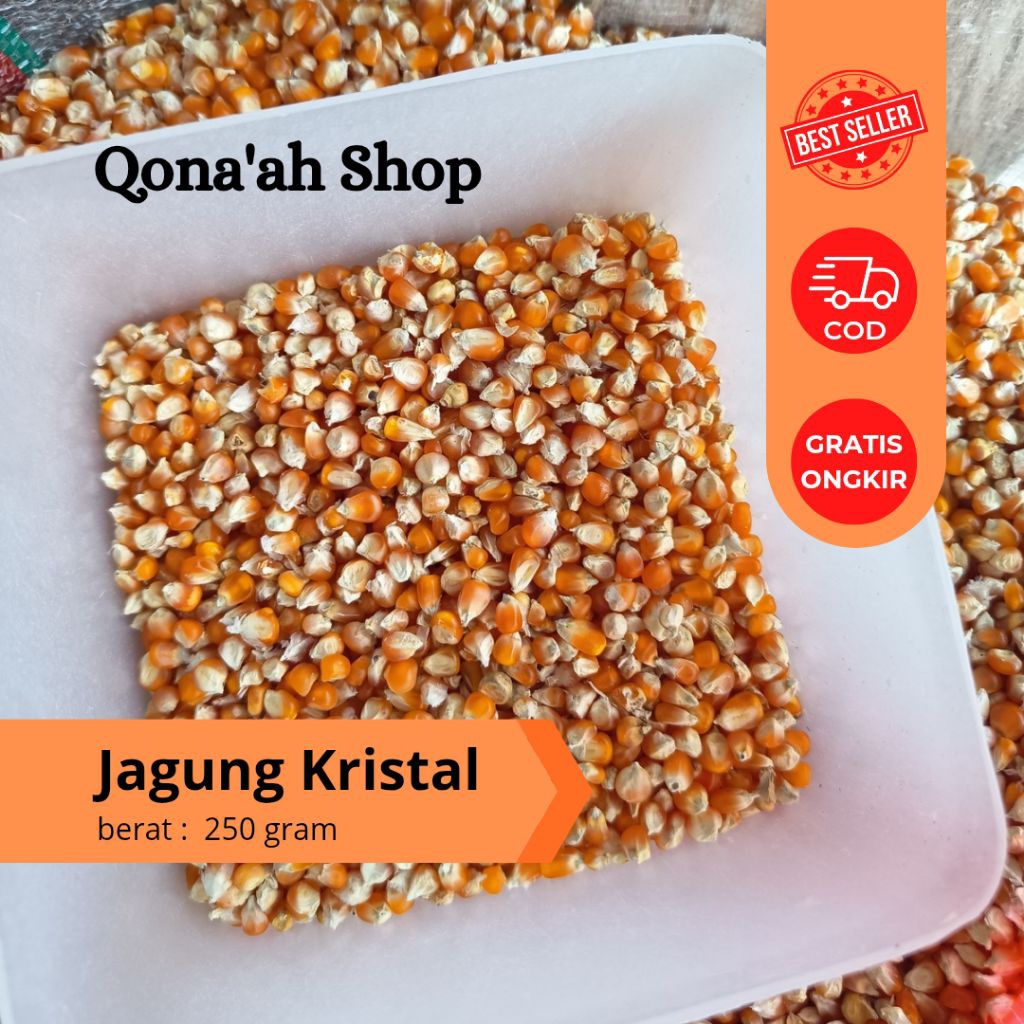 Jagung kristal kecil pakan merpati 250 gr / jagung kecil pakan burung / jagung kristal super kecil p