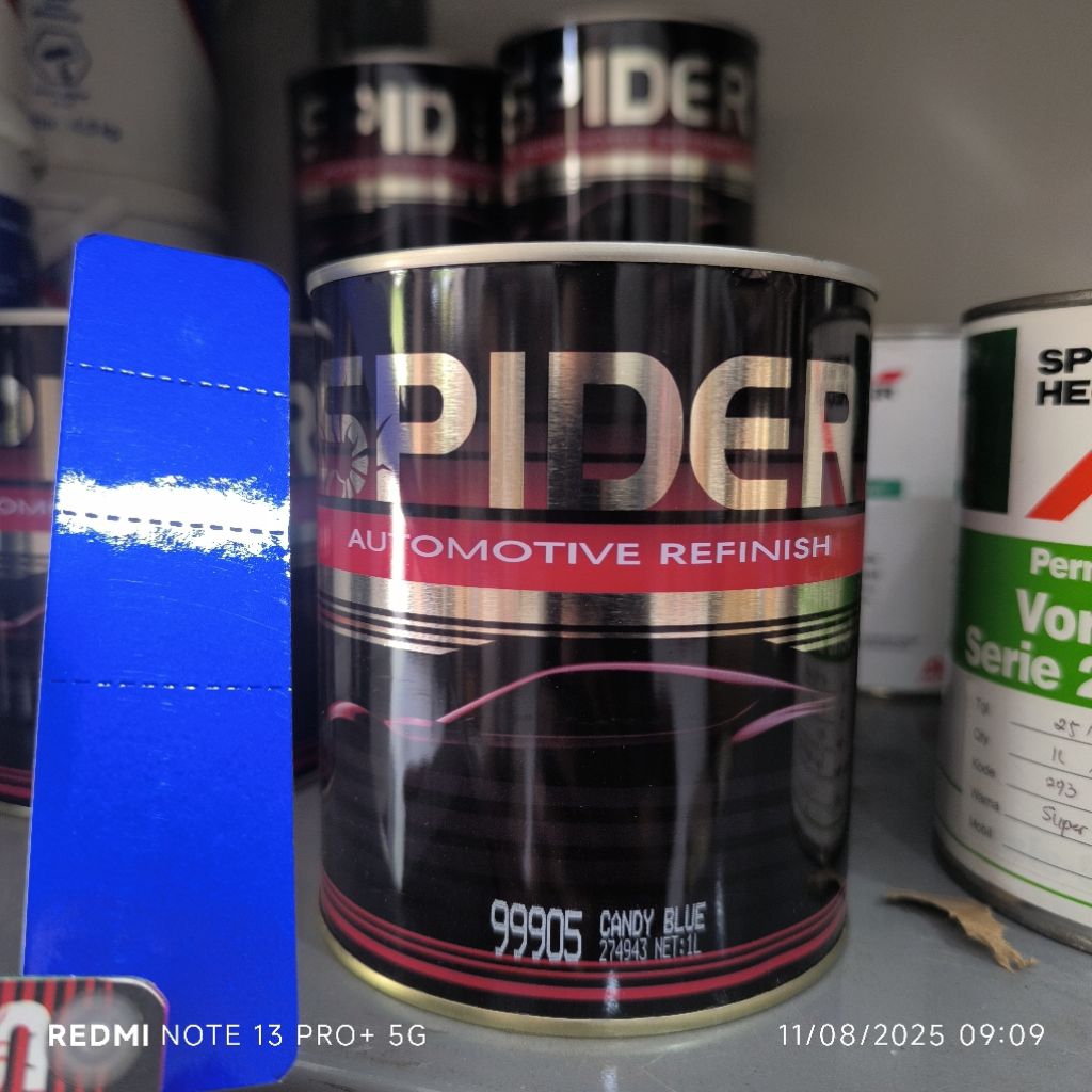 Cat Pu Candy Blue Spider 99905