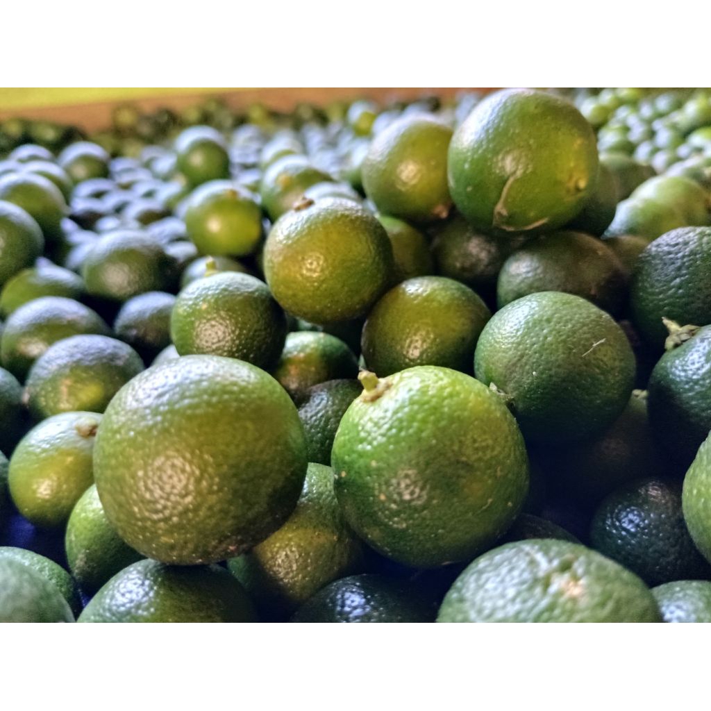 

1KG JERUK SONKIT KASTURI KUNCI