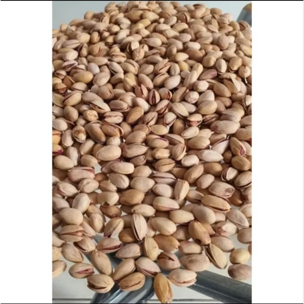 

Pistachio Kulit Roasted import Iran