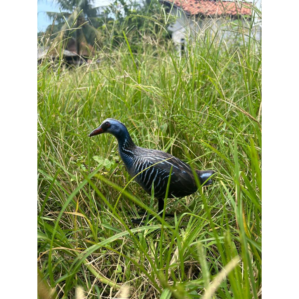 patung burung sintar ladang untuk pikat/jontrot dan hiasan taman