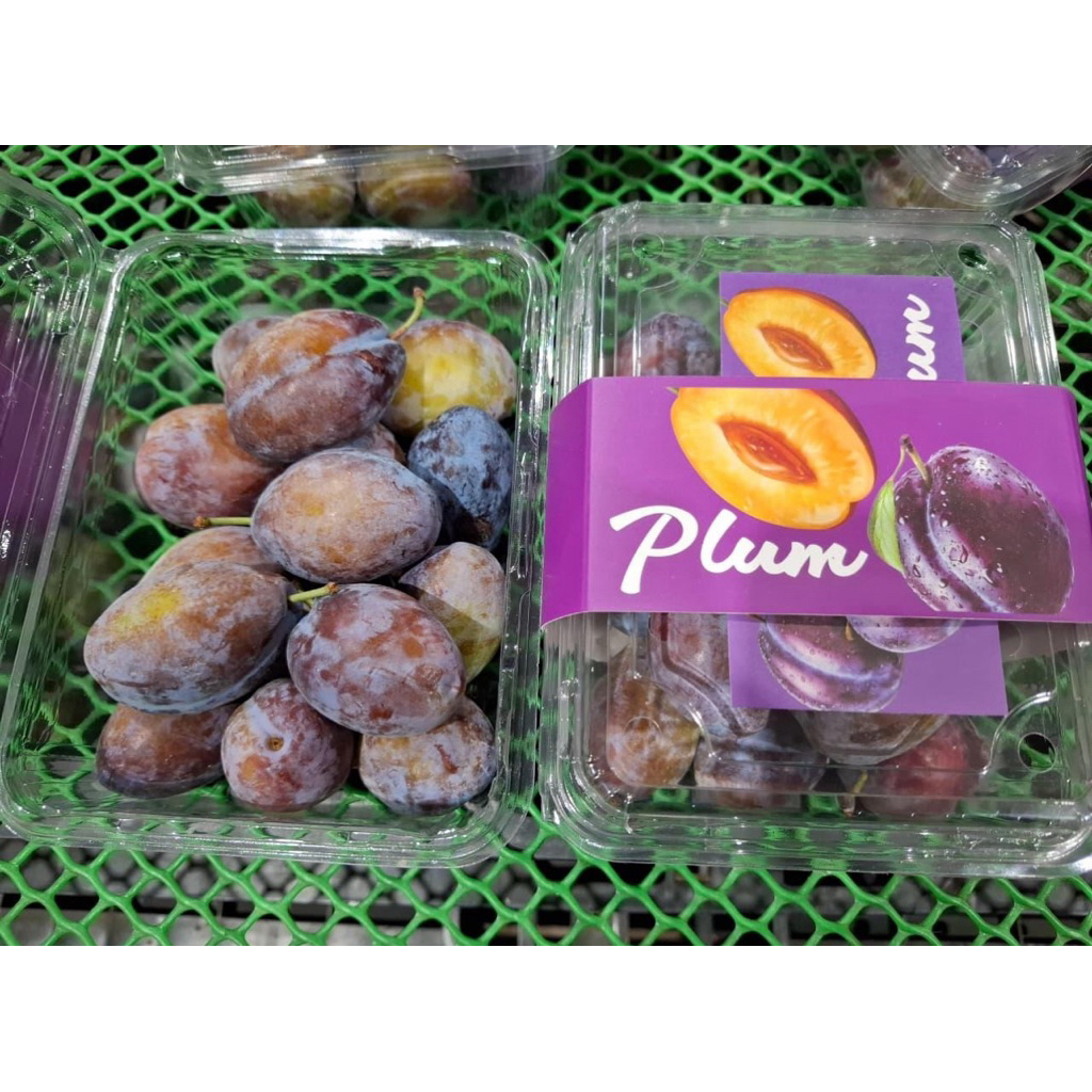 Buah Plum Sugar Fresh / Buah Plum Sugar Super Manis Import 500gram / Pack