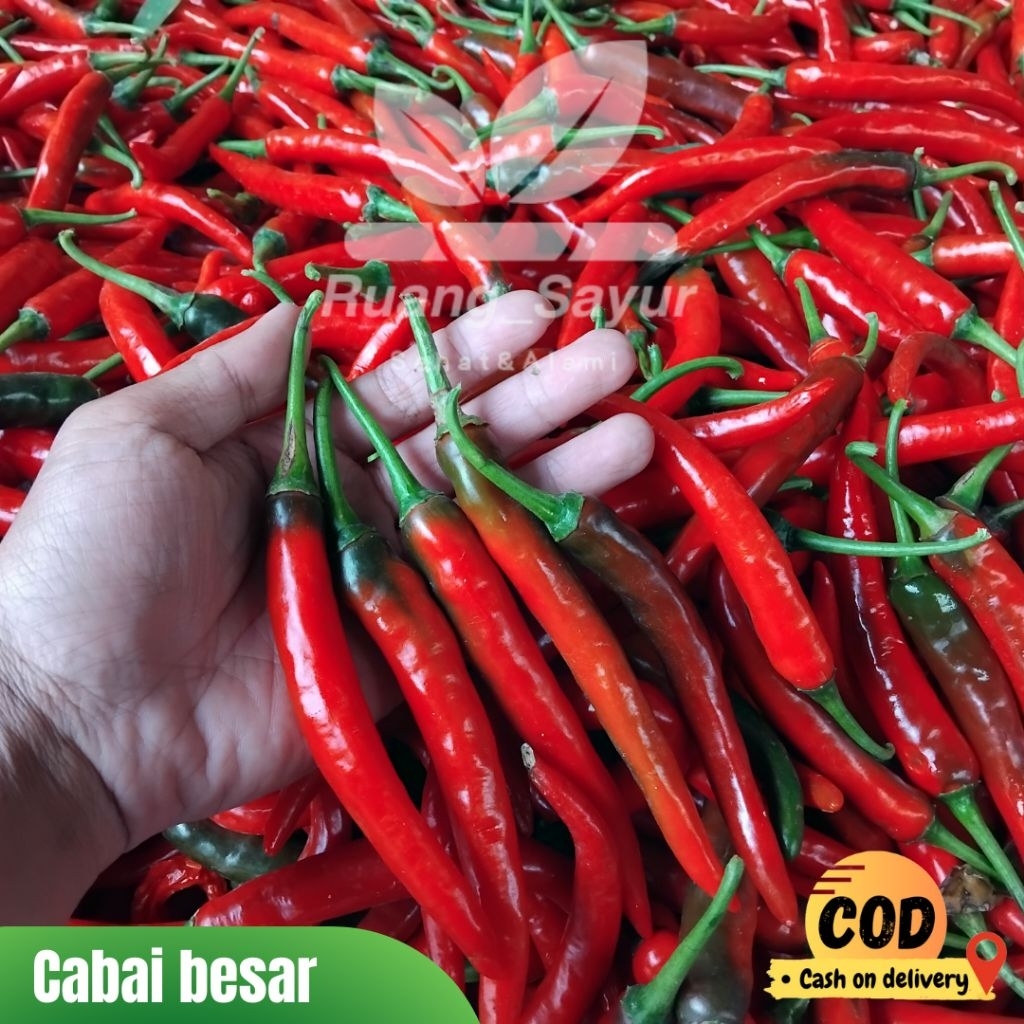 

Cabai Merah Besar , Cabai Merah Besar 500 Gram, Cabe Besar