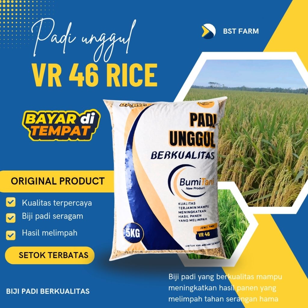 Benih Padi Bibit Padi VR46 vellos 5kg Original
