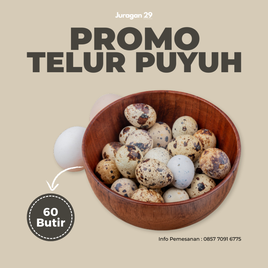 Telur Puyuh 60pcs Fresh Box Dari Peternakan Segar
