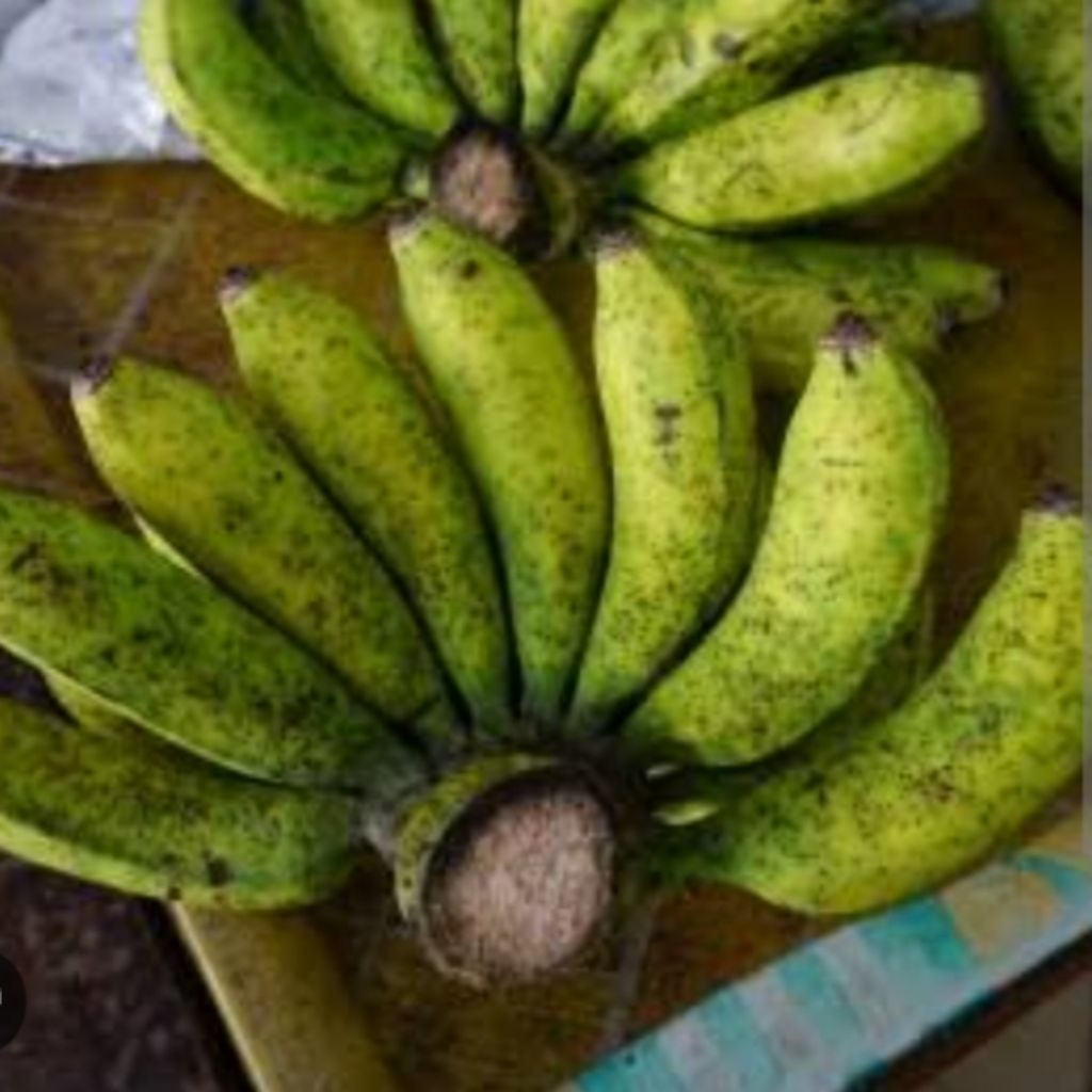 

PISANG SUSU (1kg) ASLI GUNUNG PATIAYAM